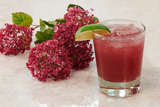 JSLB-401-Elderberry-Moscow-Mule.pdf