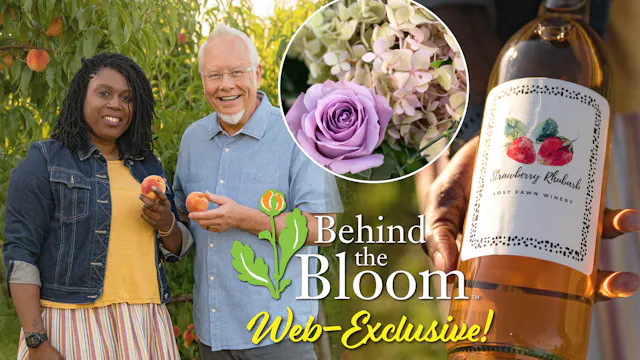 Behind the Bloom with Crystal Palasek...