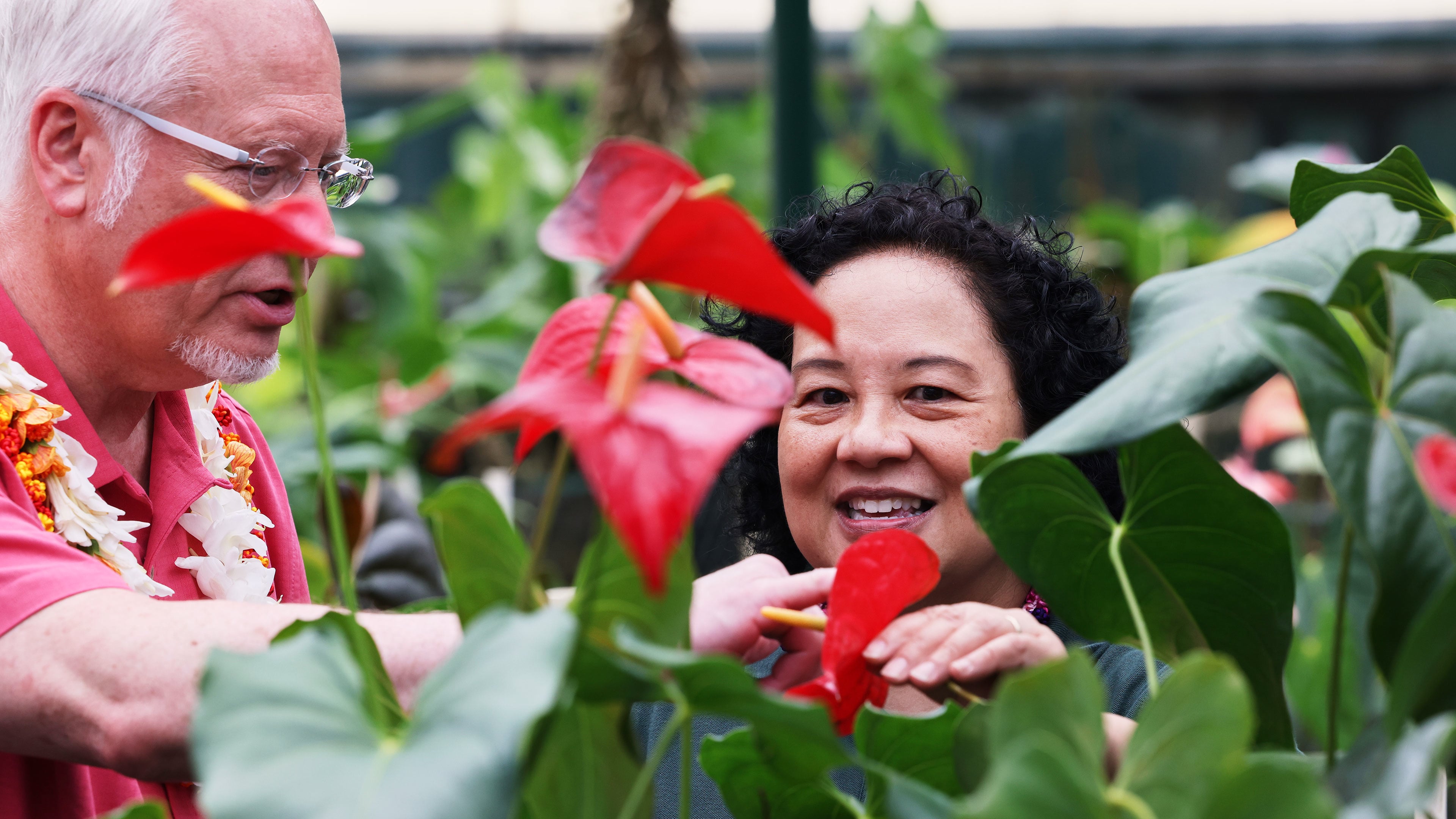 Episode #802- Flowers of Hawai'i