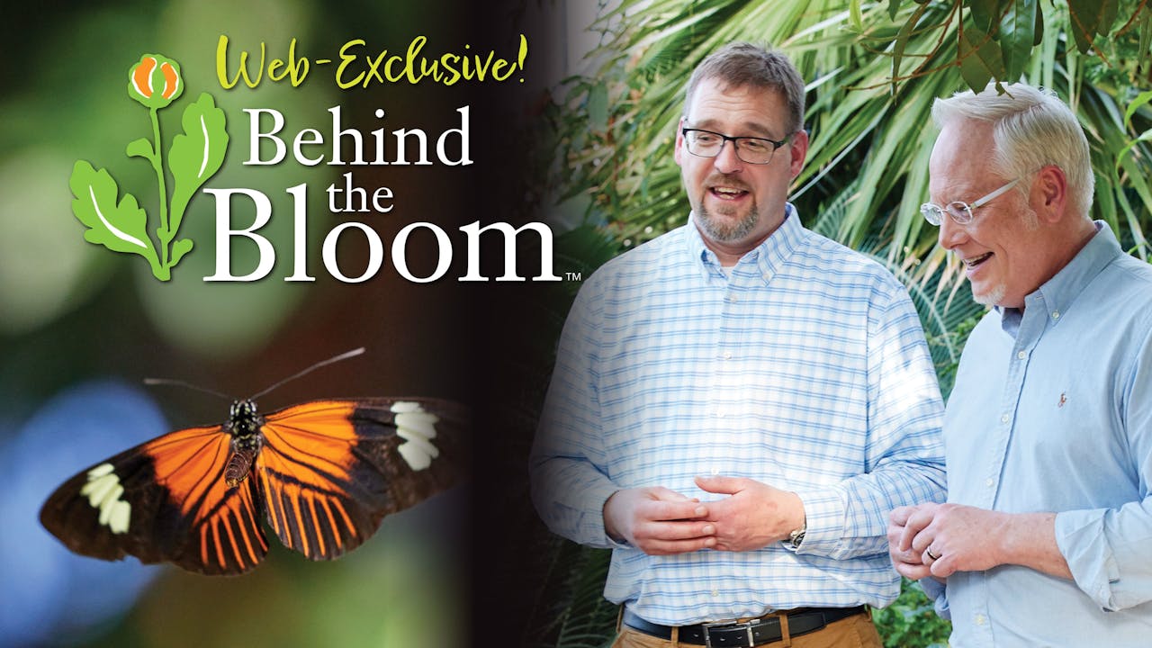 Behind the Bloom with Steve LaWarre and Butterflies! Season 4 BTB