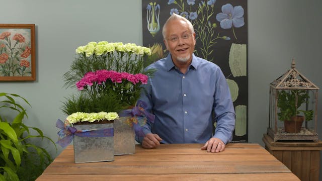 Bi-level Carnation Arrangement.