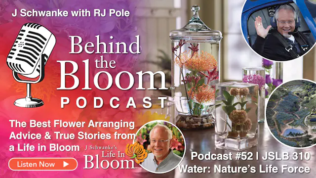 Podcast 52- Companion to Episode #310...