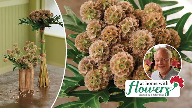 2 ways to Arrange Scabiosa Pods!