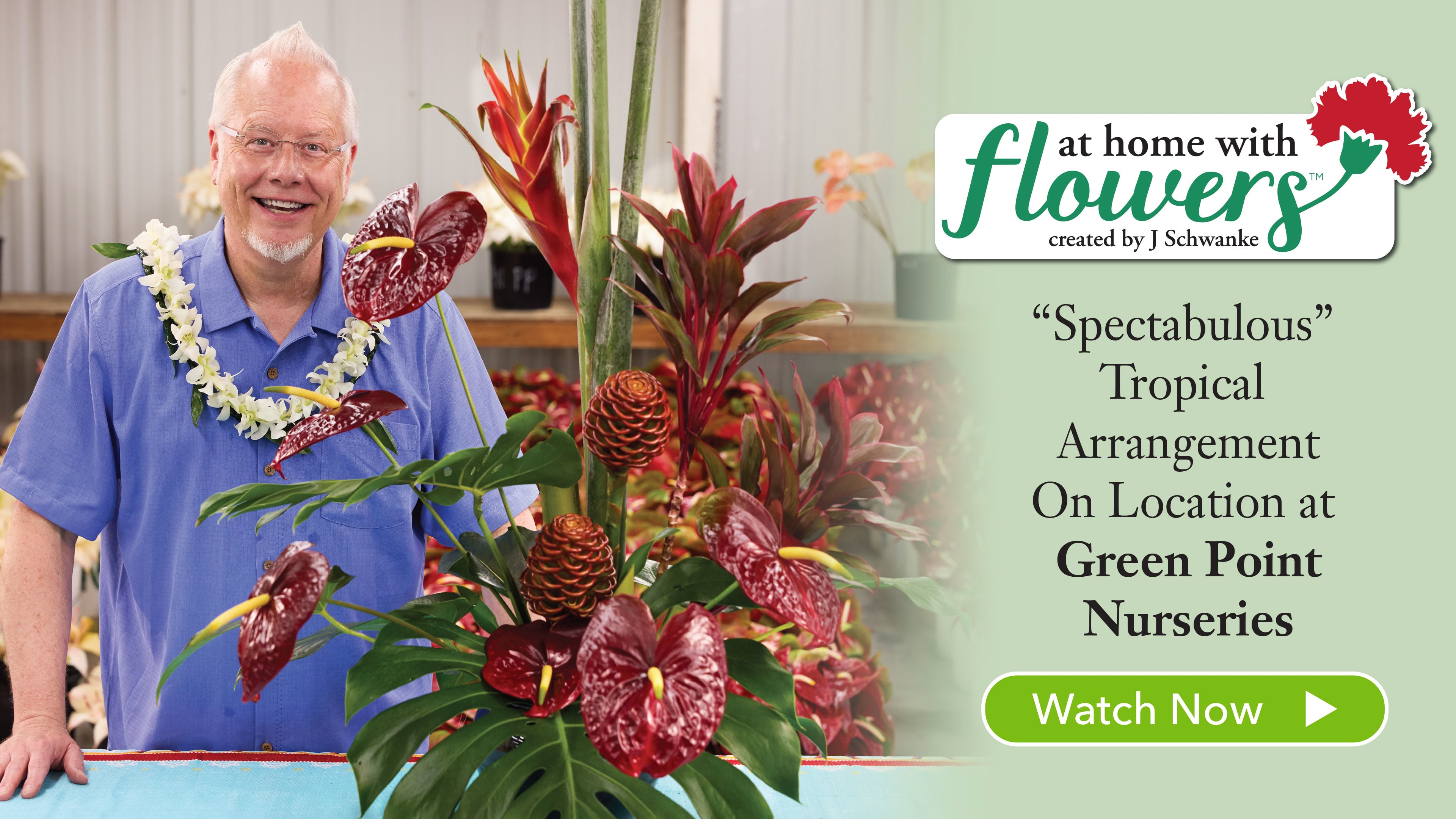 Creating a “Spectabulous” Tropical Arrangement at Green Point Nursery!