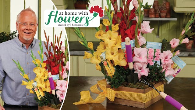 Gladiolus Garden Gift!