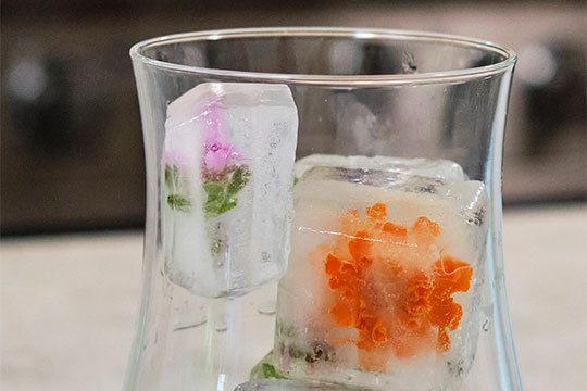 JSLB-310-Flowers-on-Ice.pdf