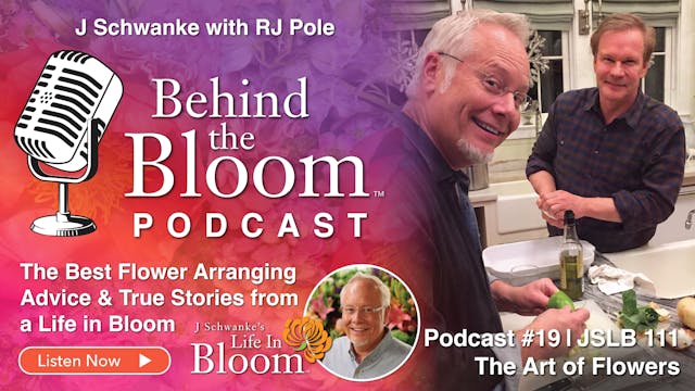 Episode 19 - Companion to Episode #11...