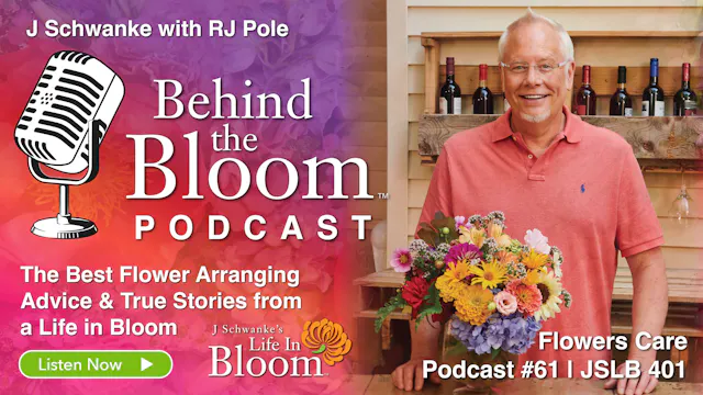 Episode 61- Companion Podcast to #401...