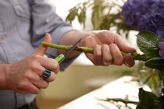 Flower Care, Flower Food and Cutting ...