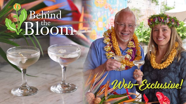 Behind the Bloom – Jenny Fiedler and ...