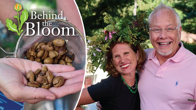 Behind the Bloom with Lisa Rose!