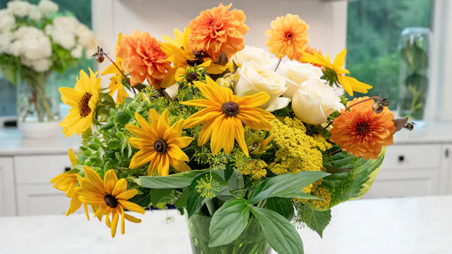 Episode #808 - Wellness In Bloom