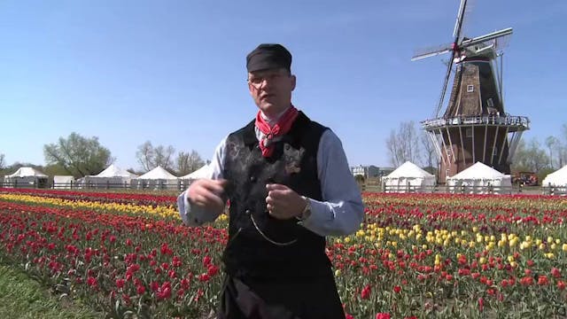 A Visit to the Tulip Time Festival in...