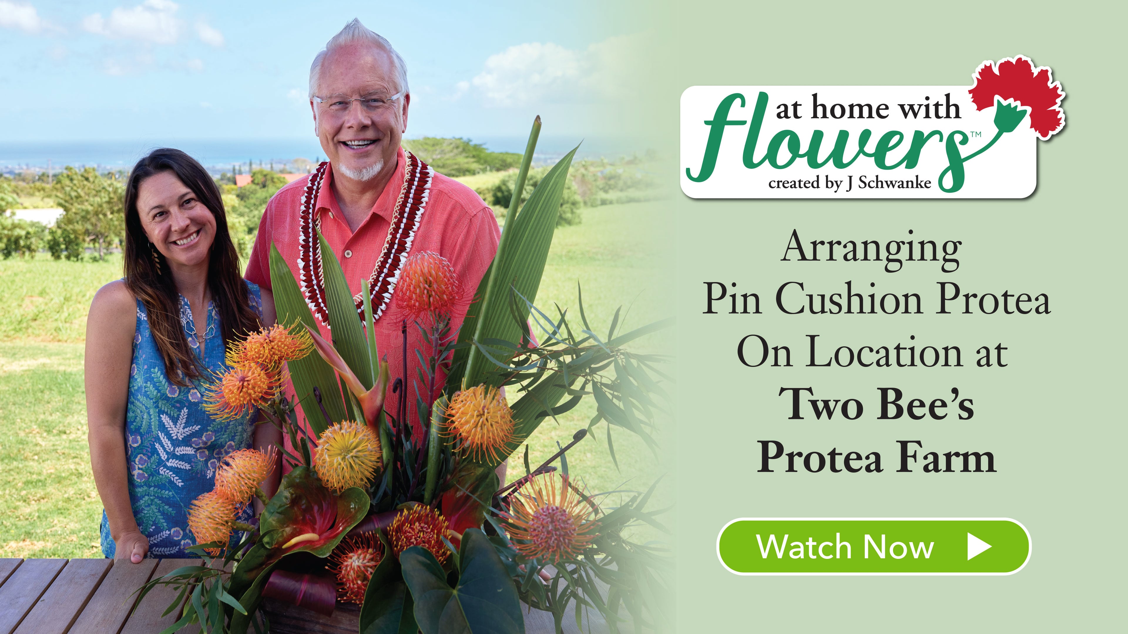 Arranging Pin Cushion Protea- at Two Bee’s Protea Farm!