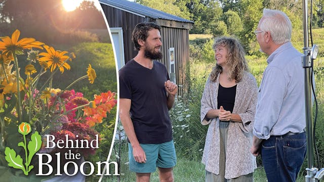 Behind the Bloom - Golden Hour Farm!