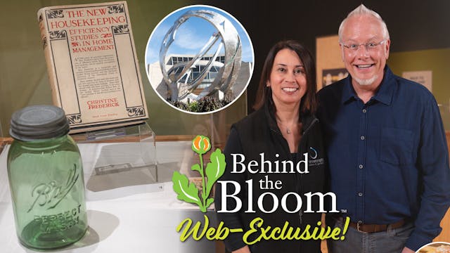 Behind the Bloom – Tania Said at the ...