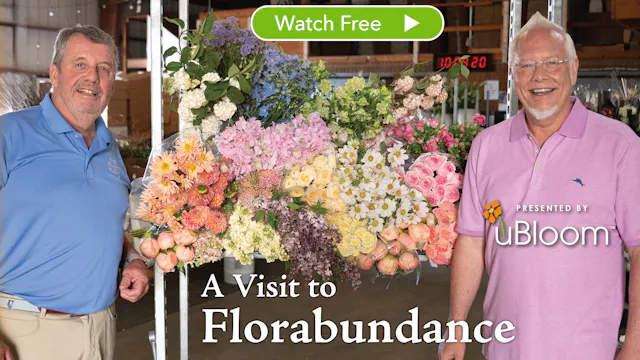 A Visit to Florabundance