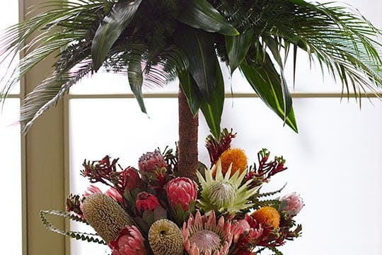 Protea - Tropical Event Centerpiece