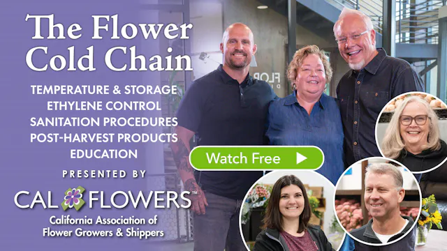 The Cold Chain For Flowers - presente...