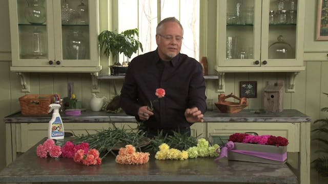 How to create a Pavé of Carnations in...