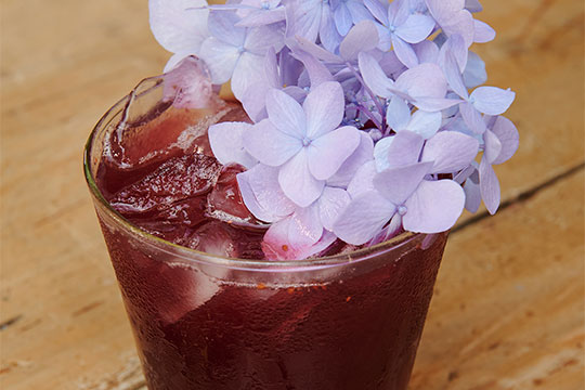 JSLB-411-Hydrangea-Cocktail.pdf