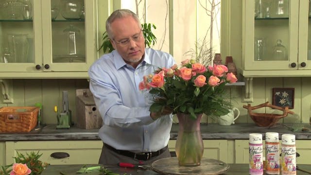 Peach Roses in an Ombré Vase