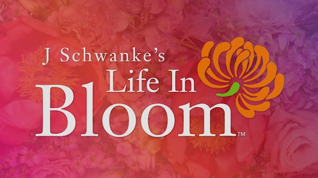 Sizzle Reel for Season 8 of J Schwank...