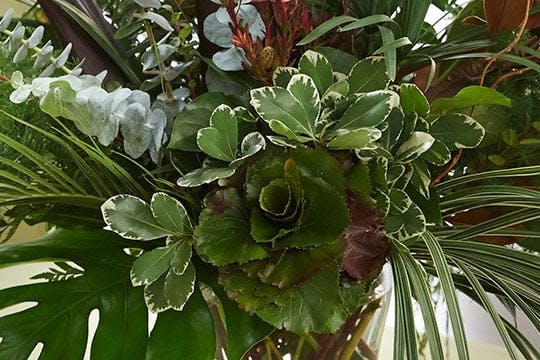 All Foliage Arrangement