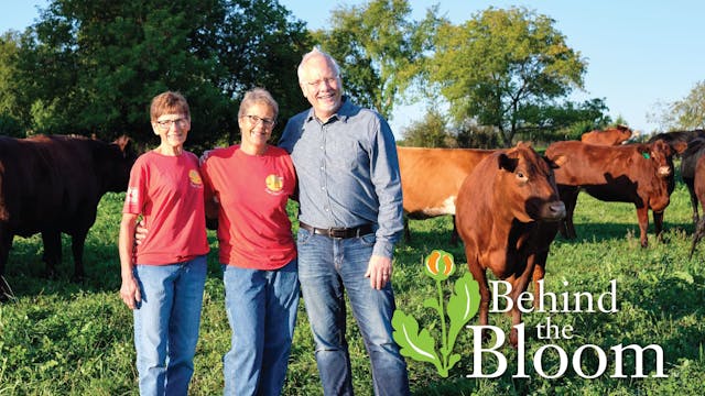 Behind the Bloom: Crane Dance Farm