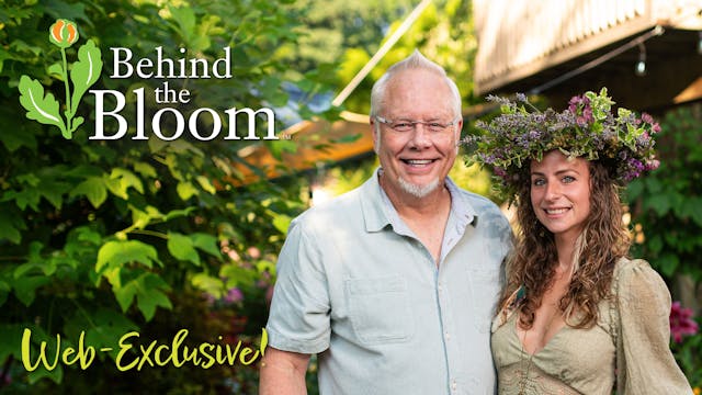 Behind the Bloom -with Amanda Gilbert...