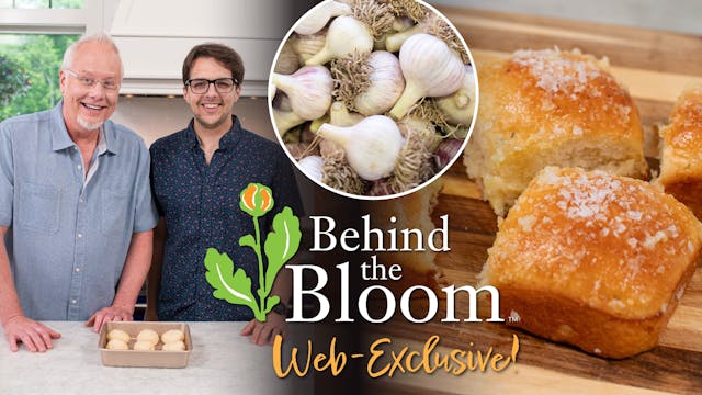 Behind the Bloom- Nick Boersma and hi...