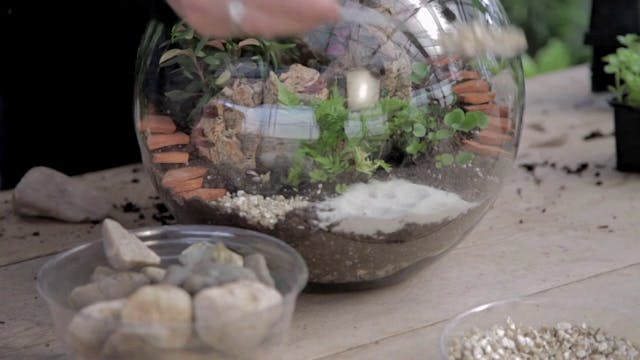 Making Terrariums with sister Cindy!