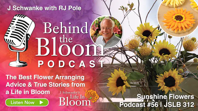 Episode 56 - Companion to Episode #31...