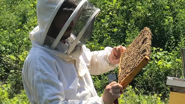 Episode 303 Pollinators in Bloom