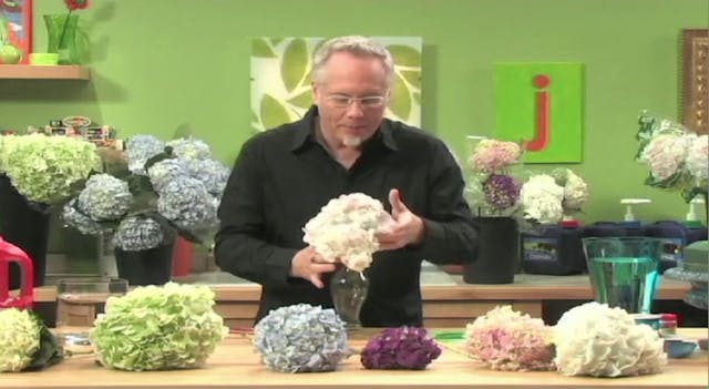 The Secret to Great Hydrangea Arrange...