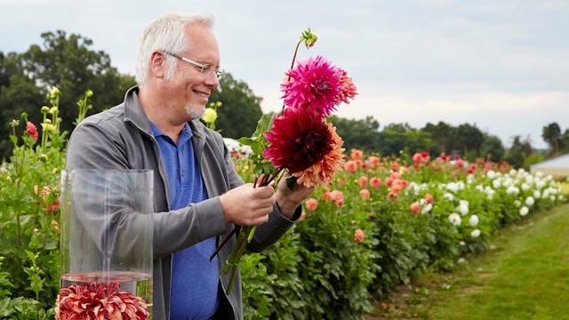 Episode 110- A Flower Arrangers Best ...