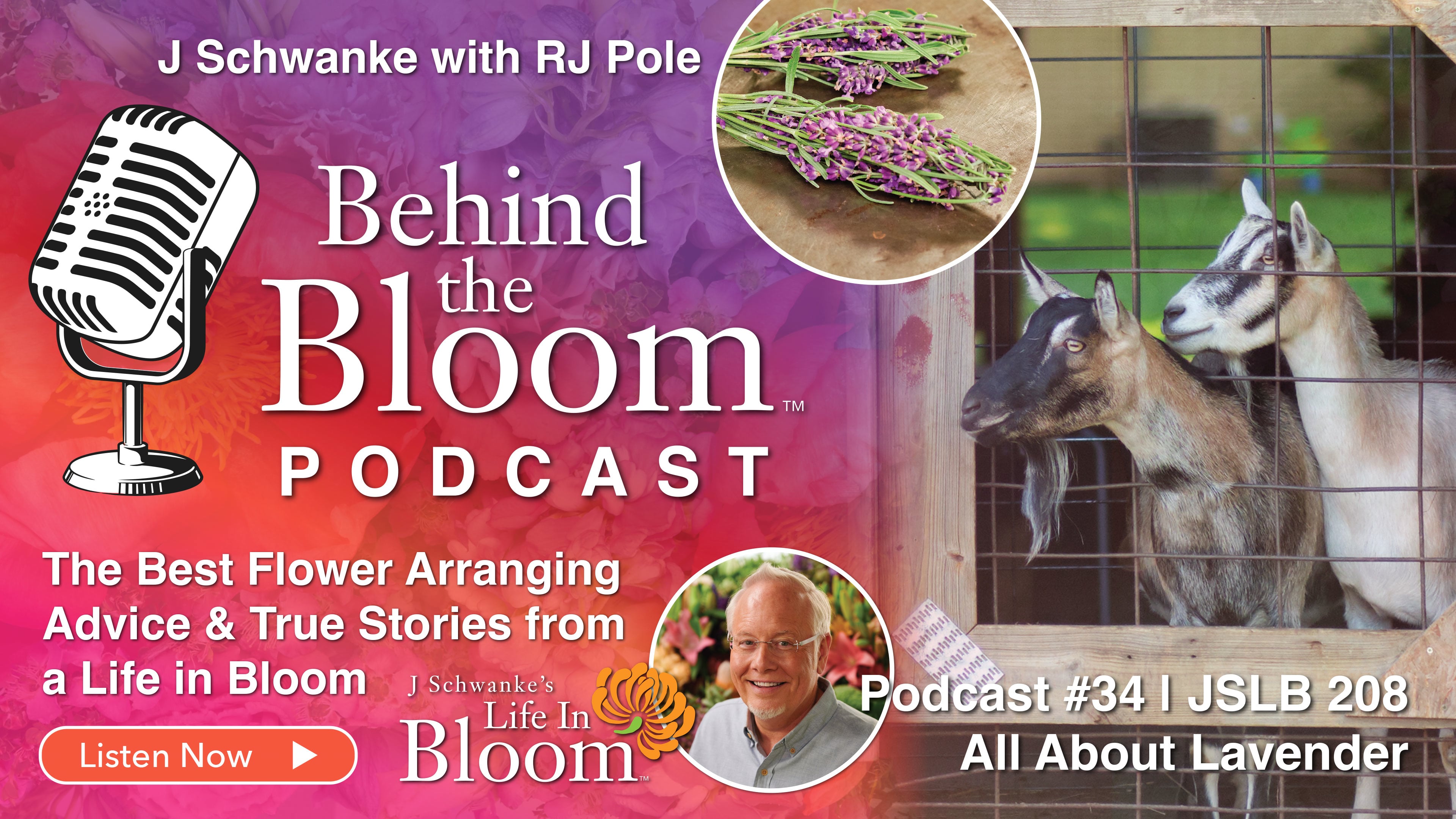 Episode 34 - Companion Podcast to Episode #308 All About Lavender