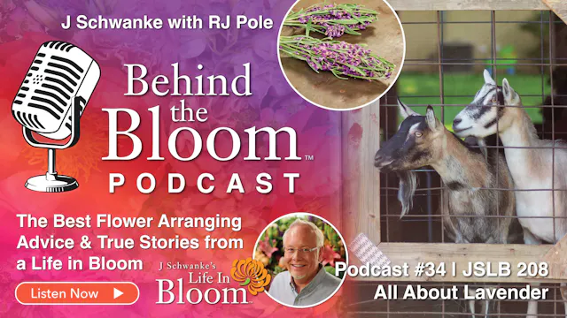 Episode 34 - Companion Podcast to Epi...