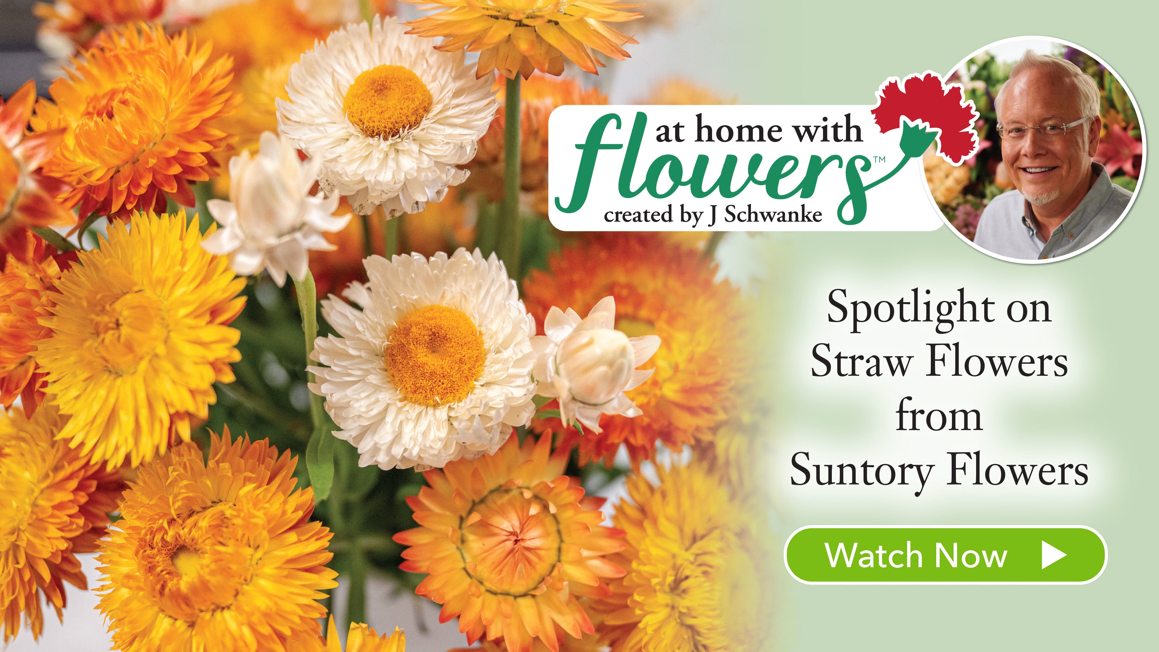 Straw Flower Arrangement!