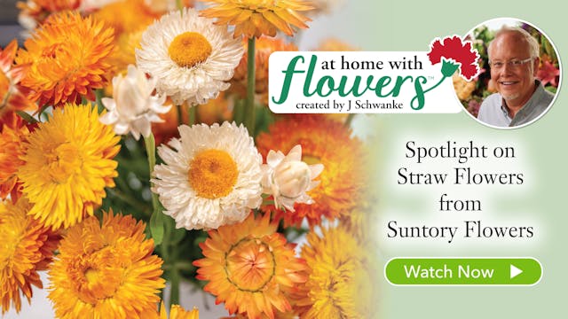 Straw Flower Arrangement!