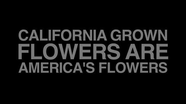 The CA Grown Experience on uBloom: AS...