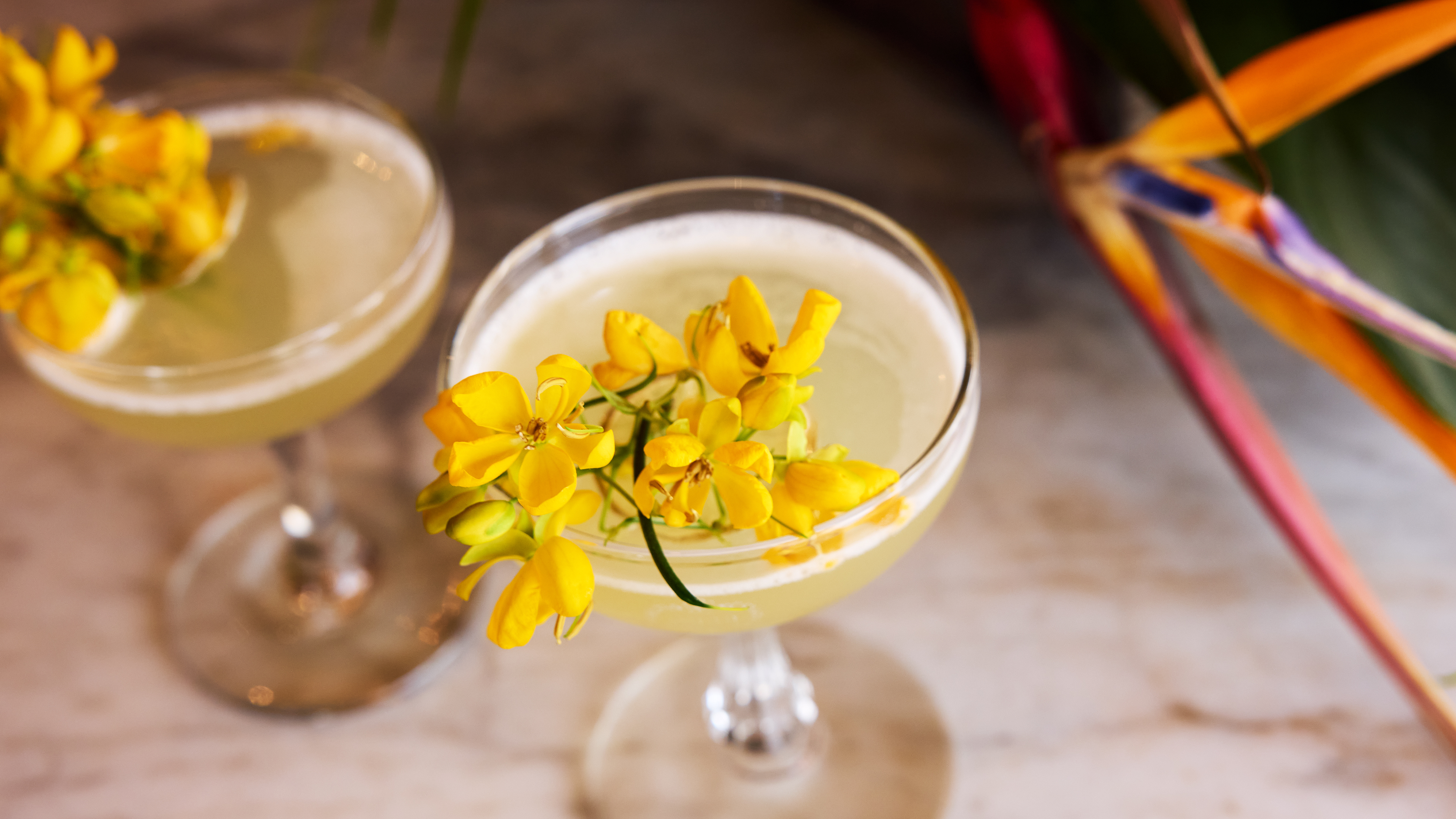 JSLB-802-‘Ohi‘a-Lehua-Daquiri.pdf