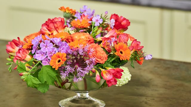 Pretty- Modern Mounded Centerpiece