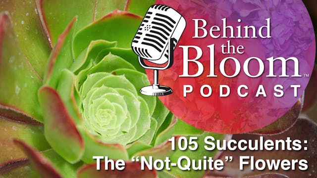 Episode 10- Companion to Episode #105...