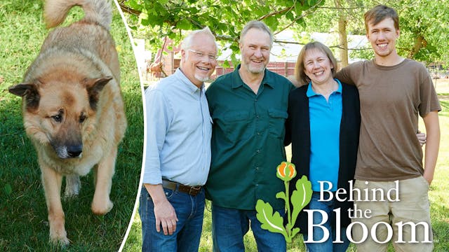 Behind the Bloom - Creswick Farms!