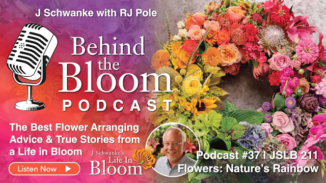 Episode 37- Companion Podcast to Epis...