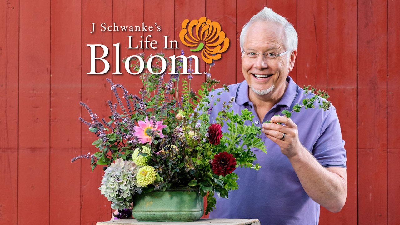 Life in Bloom Season 2