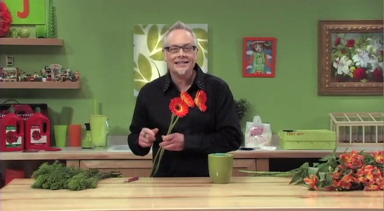 How to use Chrysal Specialty Nutrients for BETTER Quality Flowers