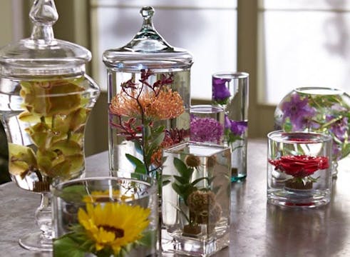 Submerged Flower Arrangements.