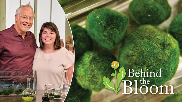 Behind the Bloom: With Grace Boersma ...